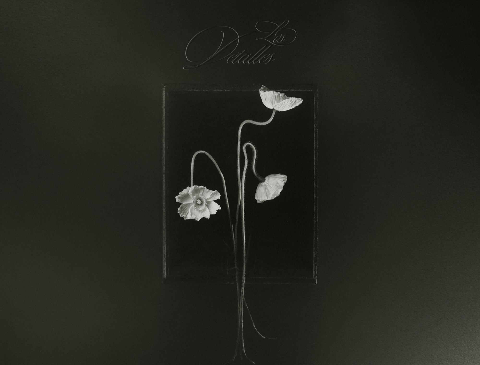 Los Detalles